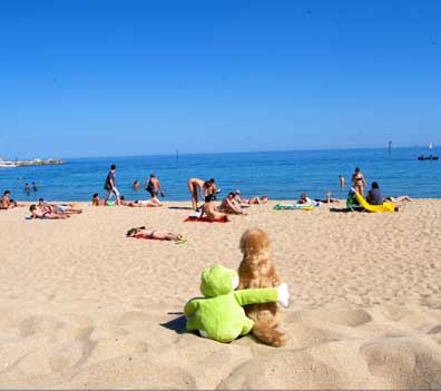En la playa, en museos, son muchos los lugares donde los peluches pueden ser felices. Foto (clickear para agrandar imagen): Barcelona Toy Travel.